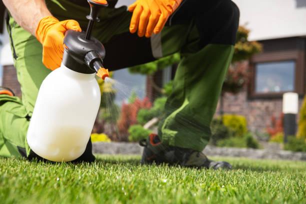 Best Rat Extermination Near Me  in Oswego, KS