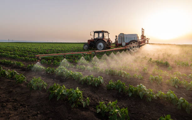 Best Wildlife Control Services  in Oswego, KS