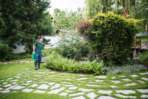 Best Pest Control Near Me  in Oswego, KS