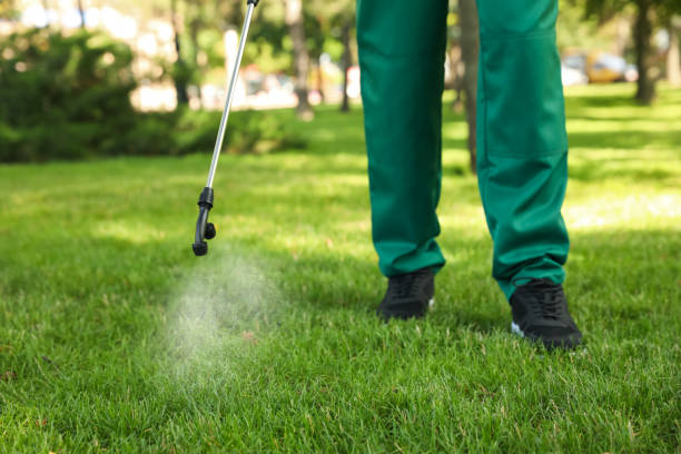 Best Termite Control Services  in Oswego, KS