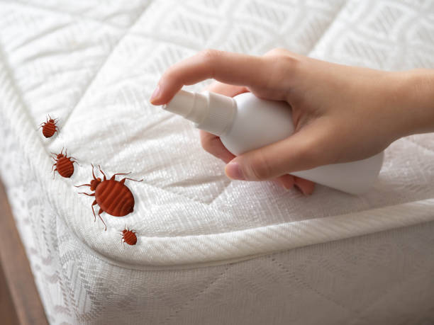 Best Best Pest Control Companies  in Oswego, KS