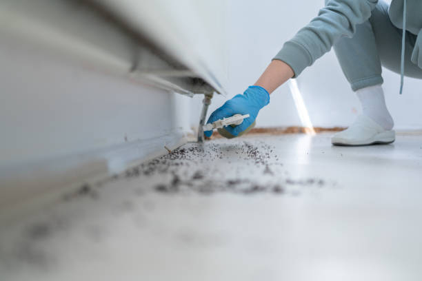 Best Best Pest Control Companies  in Oswego, KS