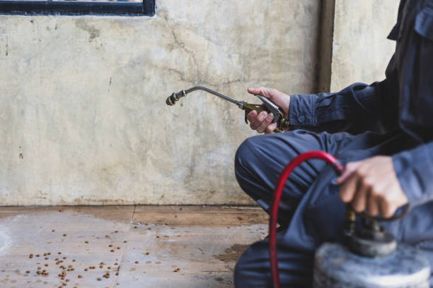 Best Best Pest Control Companies  in Oswego, KS